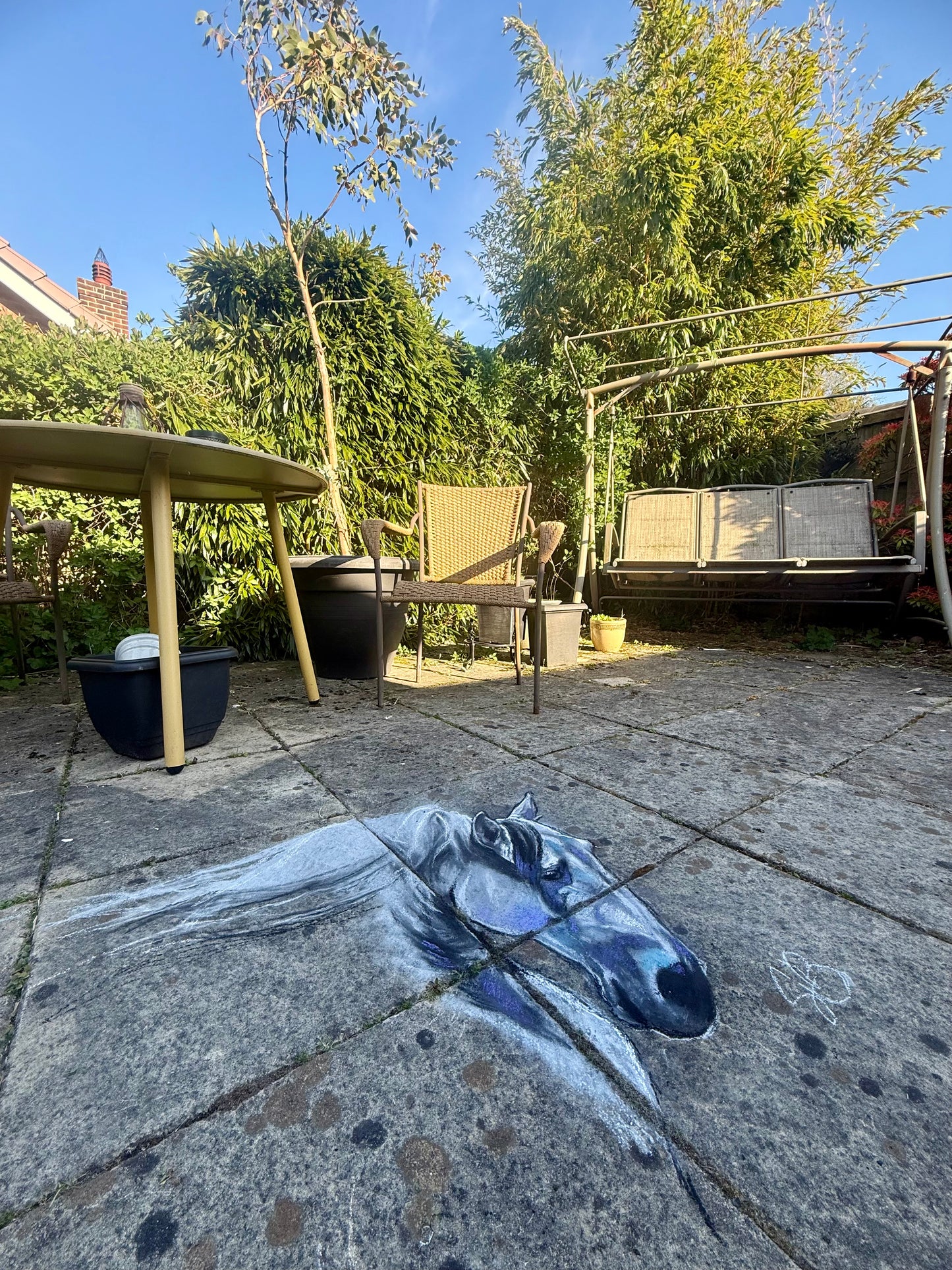 Maximus blank notecards - pack of 5