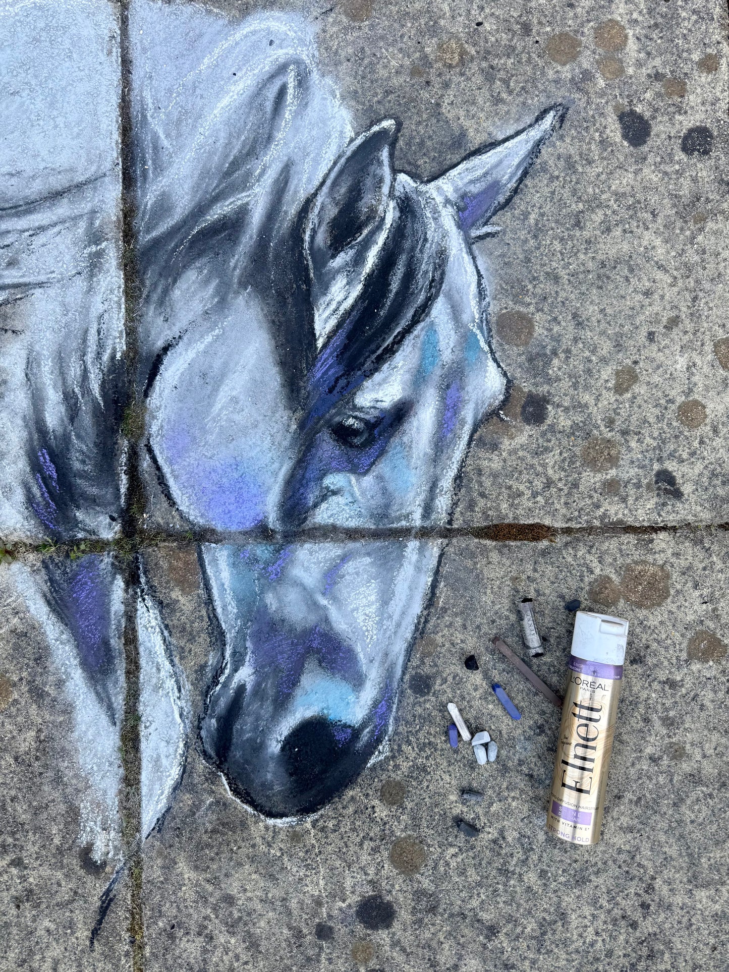 Maximus blank notecards - pack of 5