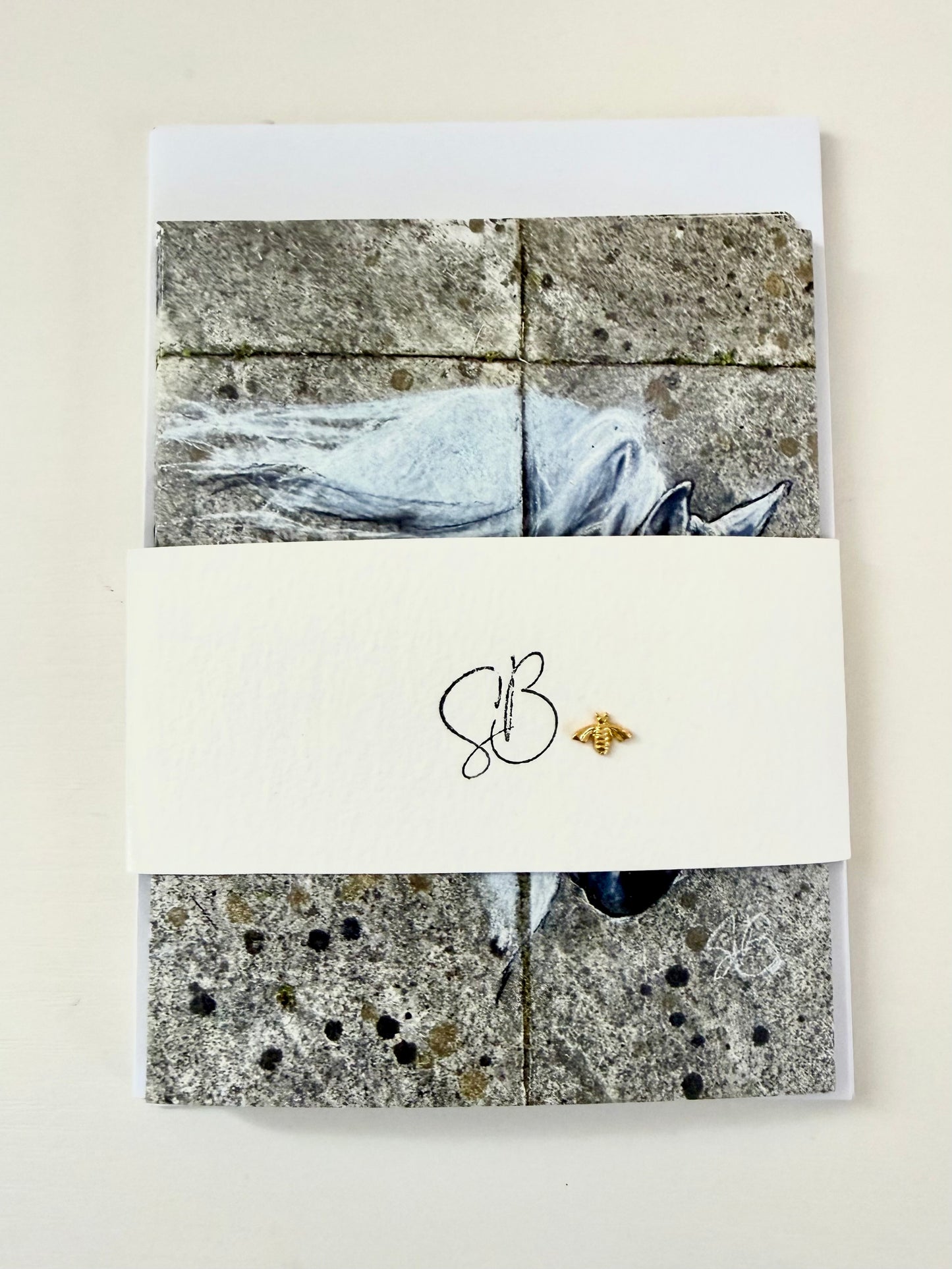 Maximus blank A6 notecards - pack of 5