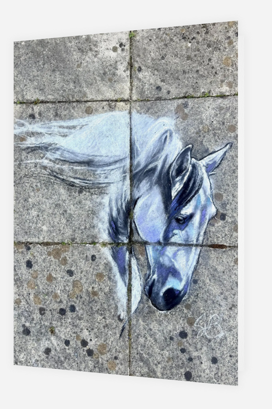 Maximus blank notecards - pack of 5